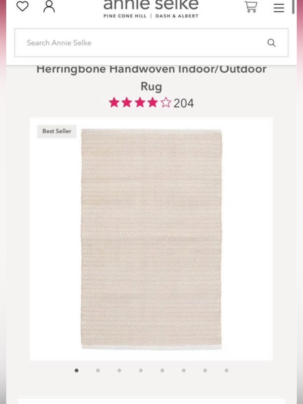 BNIP 12 foot rug runner Dash & Albert orig $295